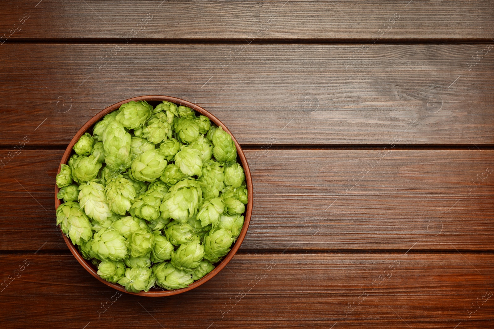 Photo of Bowl with fresh green hops on wooden table, top view. Space for text