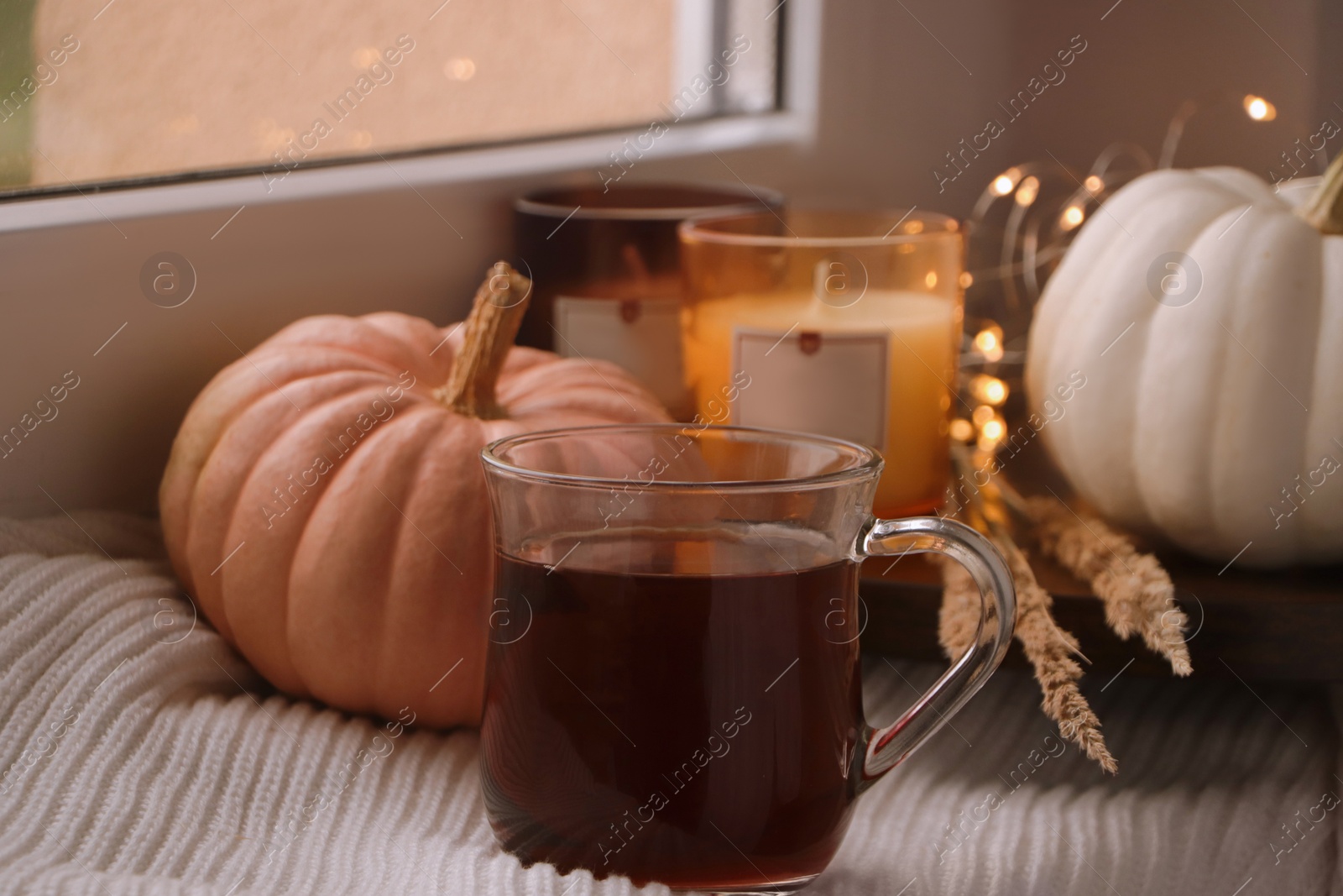 Photo of Cup of hot drink, candles, pumpkins and white knitted blanket on window sill indoors
