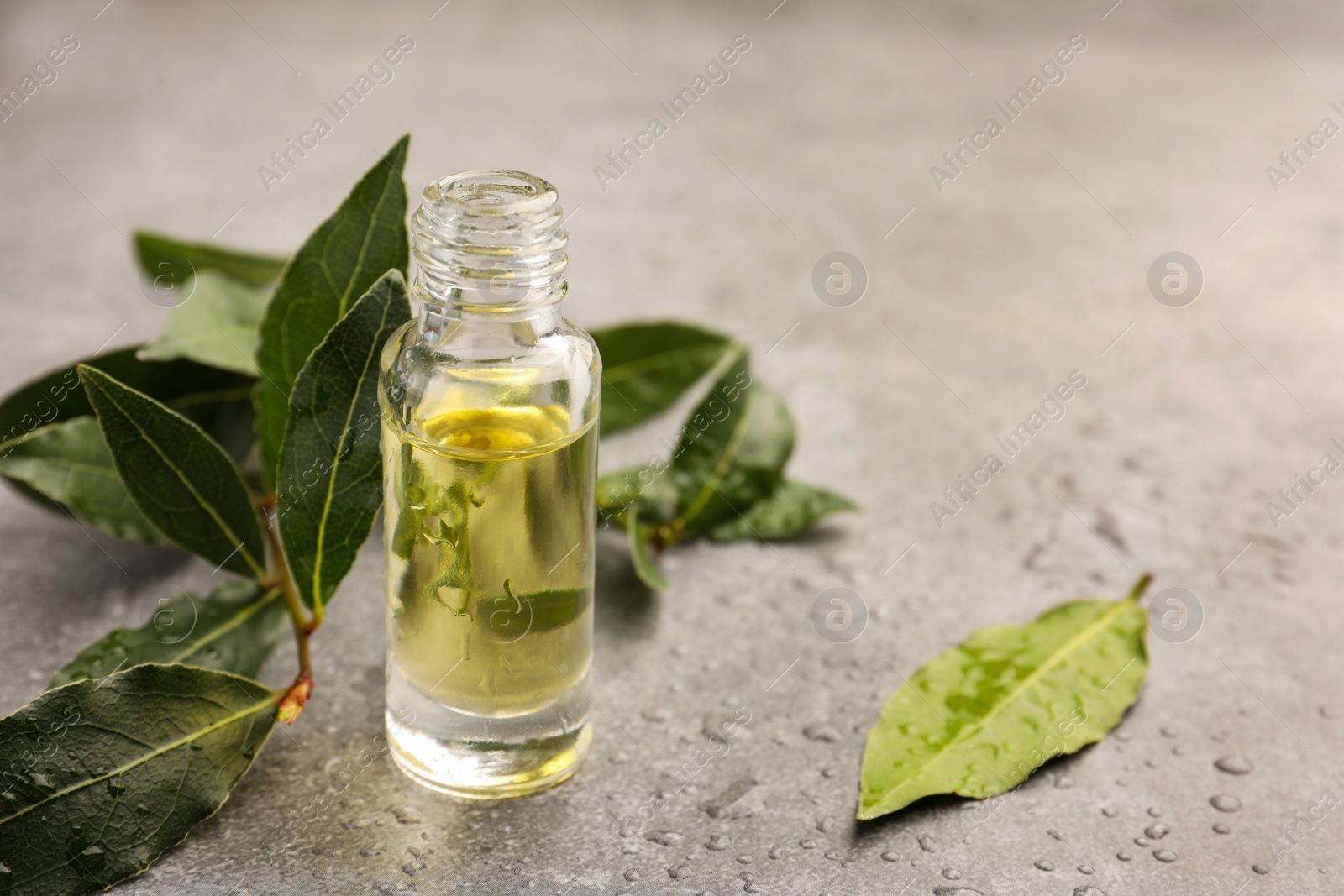 Photo of Bottle of bay essential oil and fresh leaves on light grey table. Space for text