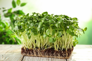 Photo of Fresh organic microgreen on white wooden table, closeup