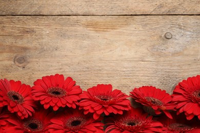 Photo of Beautiful bright gerbera flowers on wooden background, top view. Space for text