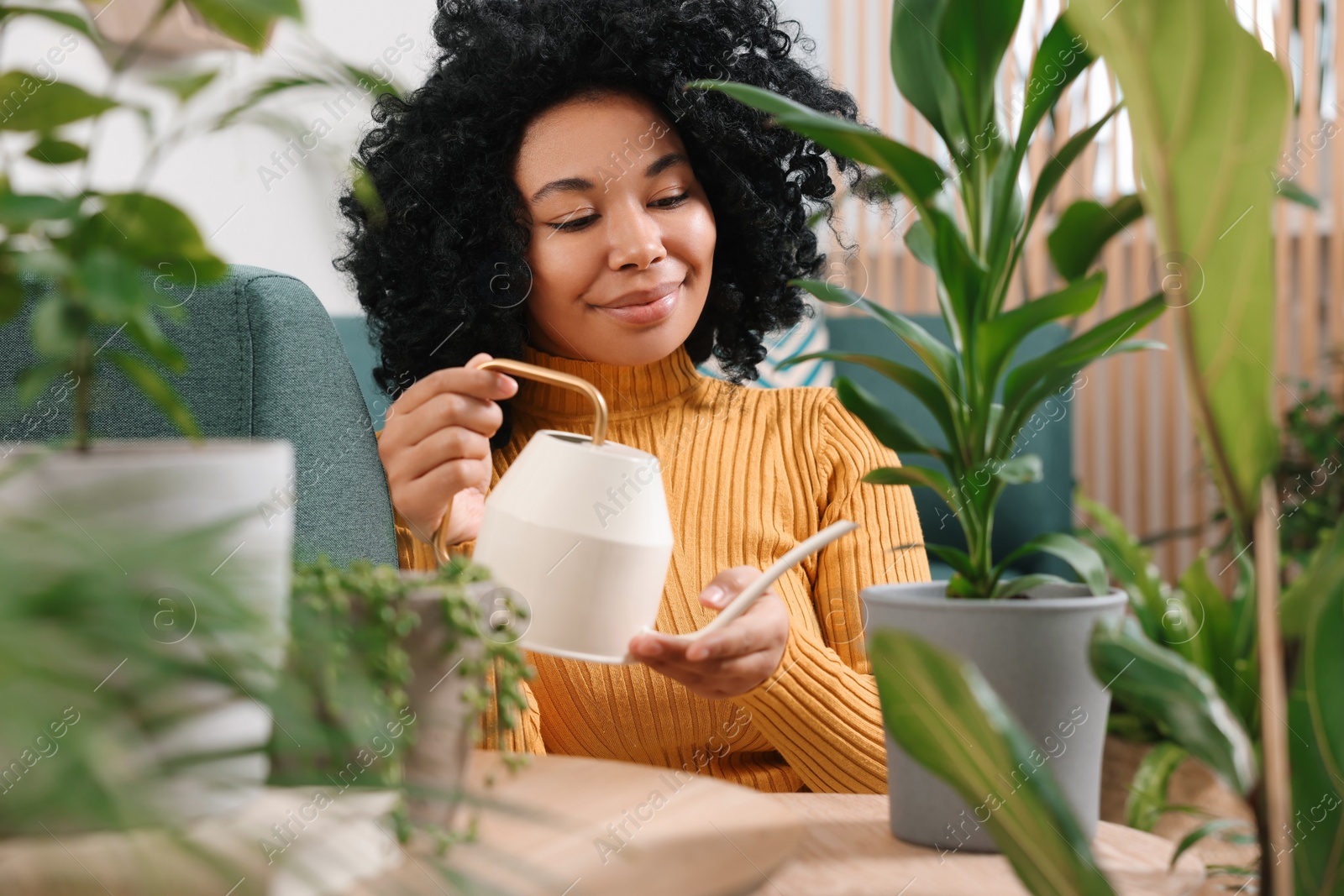 Photo of Woman watering beautiful potted houseplant at home