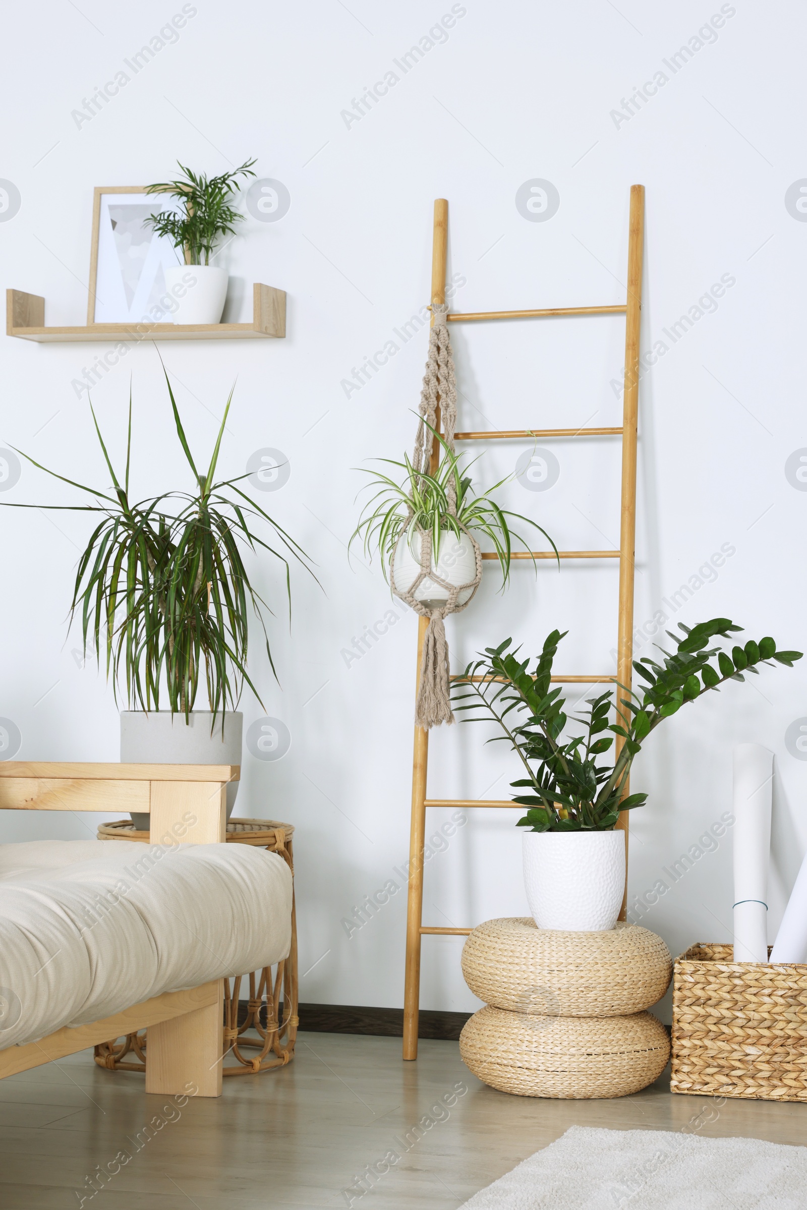 Photo of Stylish room interior with different beautiful houseplants