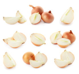 Image of Set of yellow cut and whole onion on white background