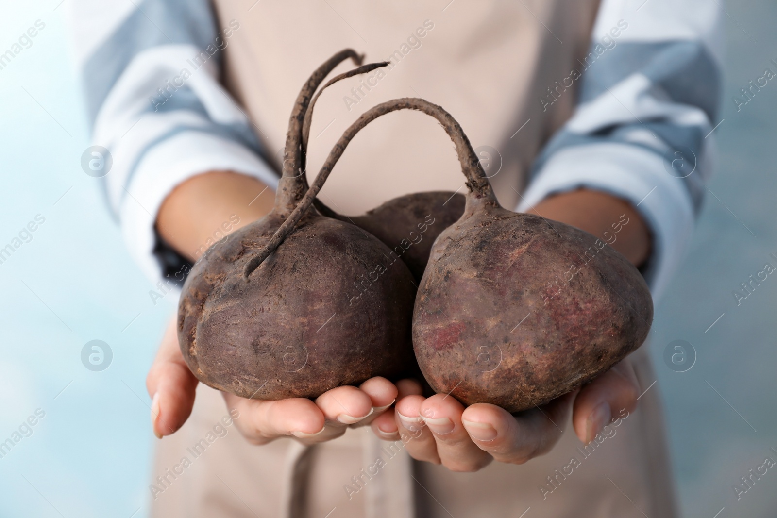 Photo of Woman holding ripe beets on light background