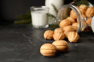 Photo of Homemade walnut shaped cookies, milk and fir branches on black table, closeup. Space for text
