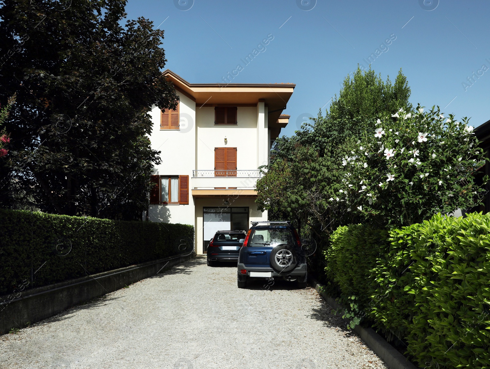 Photo of Beautiful street, building, cars, bushes and trees on sunny day