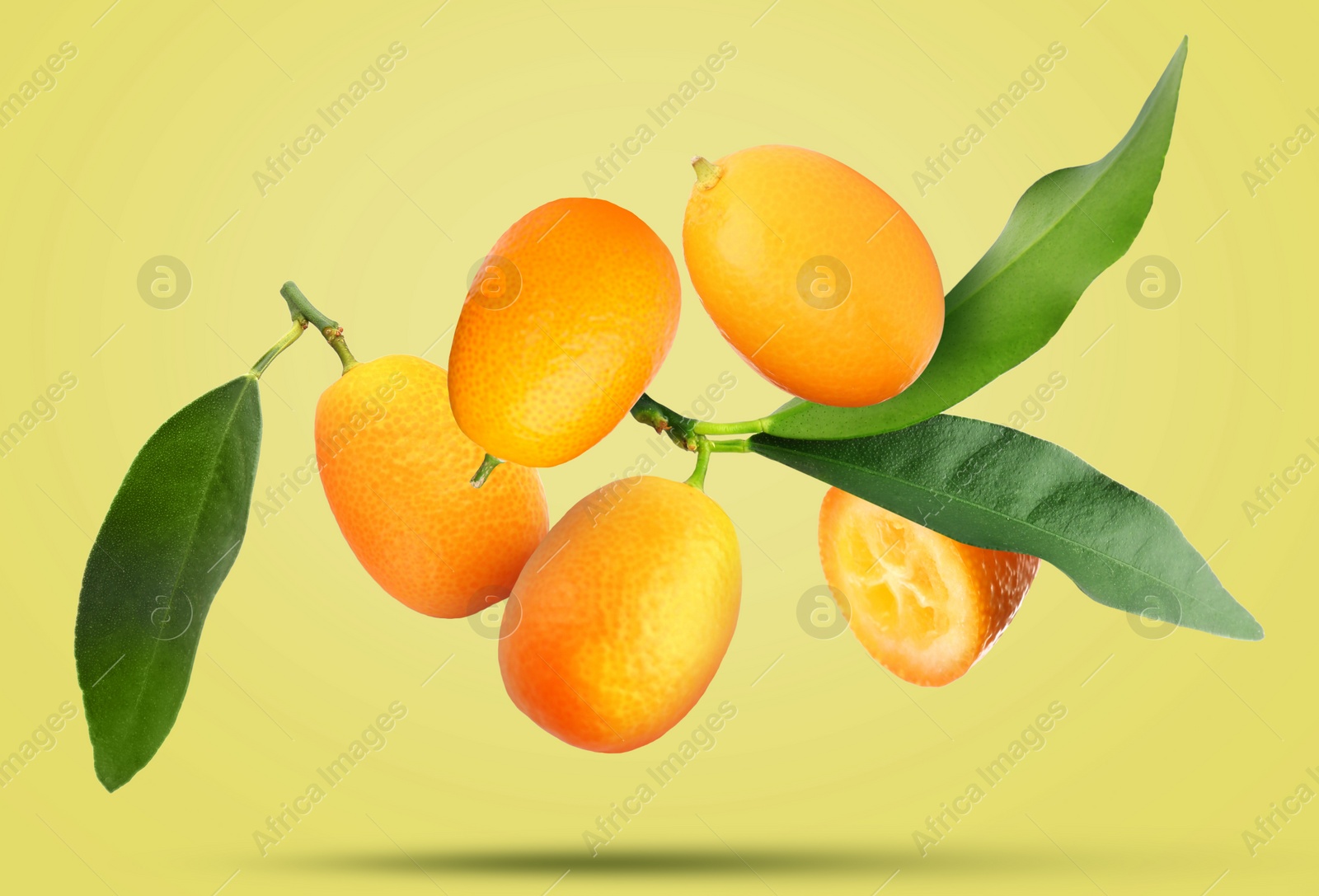 Image of Delicious fresh kumquats and green leaves falling on pale olive background