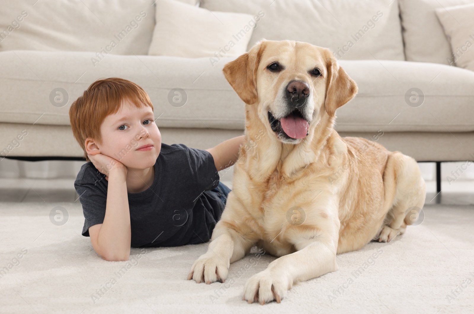 Photo of Cute child with his Labrador Retriever on floor at home. Adorable pet