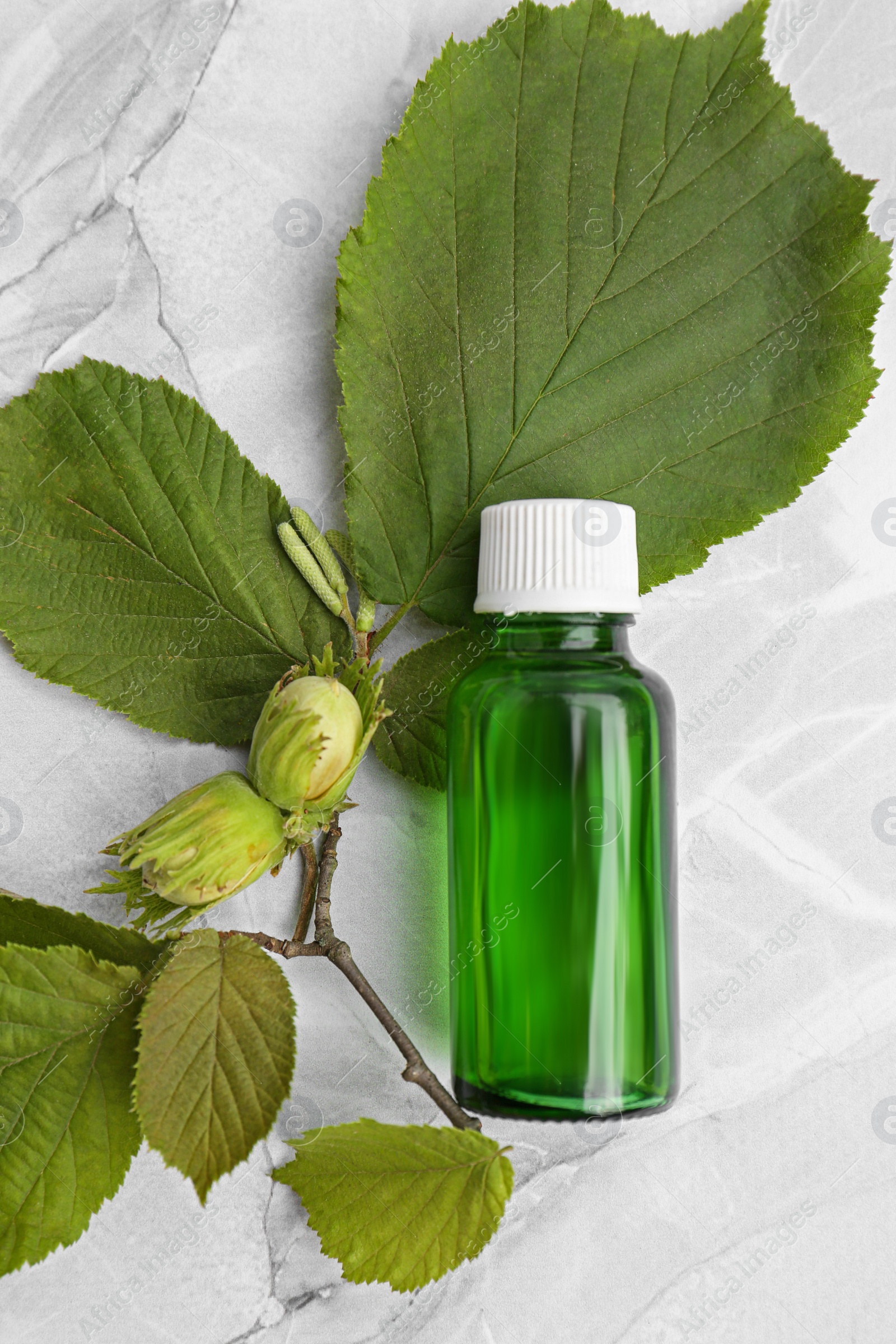 Photo of Bottle of essential oil and hazelnut tree twig on white table, flat lay