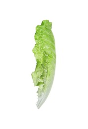 Photo of Fresh leaf of green romaine lettuce isolated on white