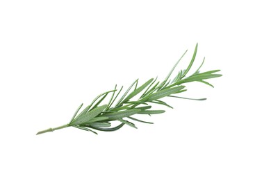 Fresh green rosemary isolated on white. Aromatic herb