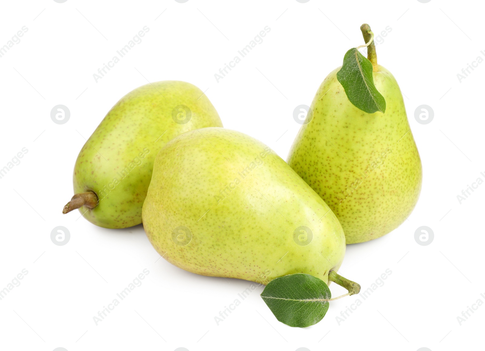 Photo of Tasty ripe pears with leaf on white background