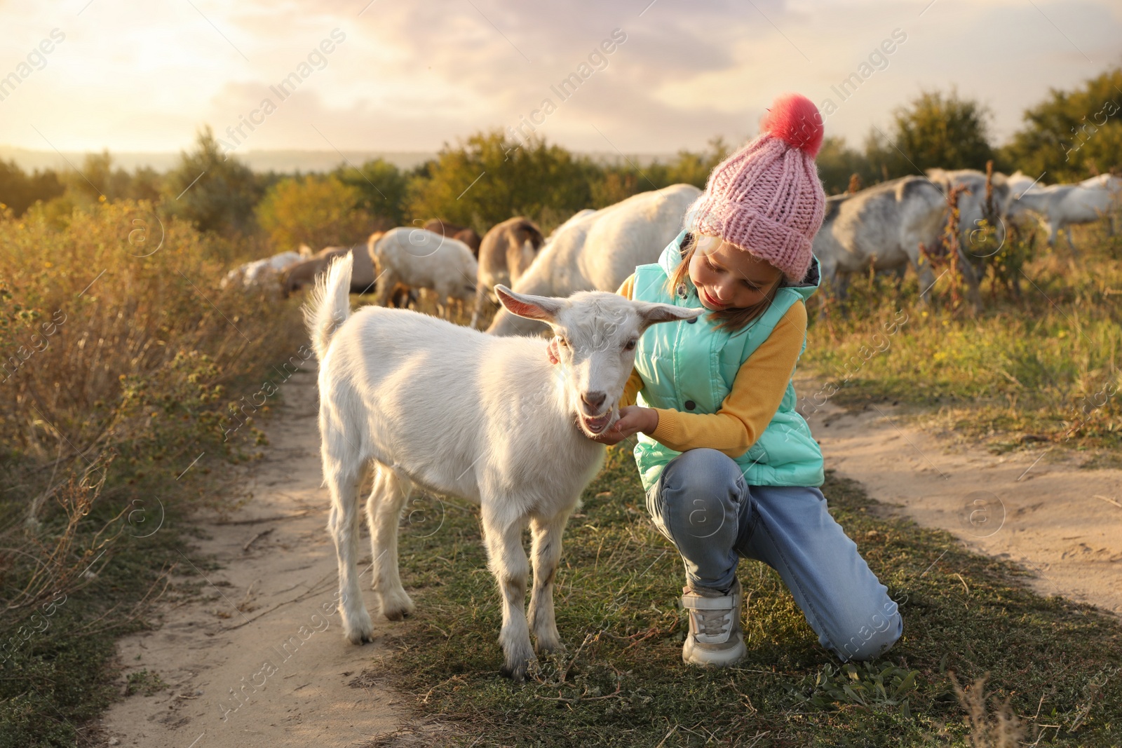 Photo of Farm animal. Cute little girl petting goatling on pasture