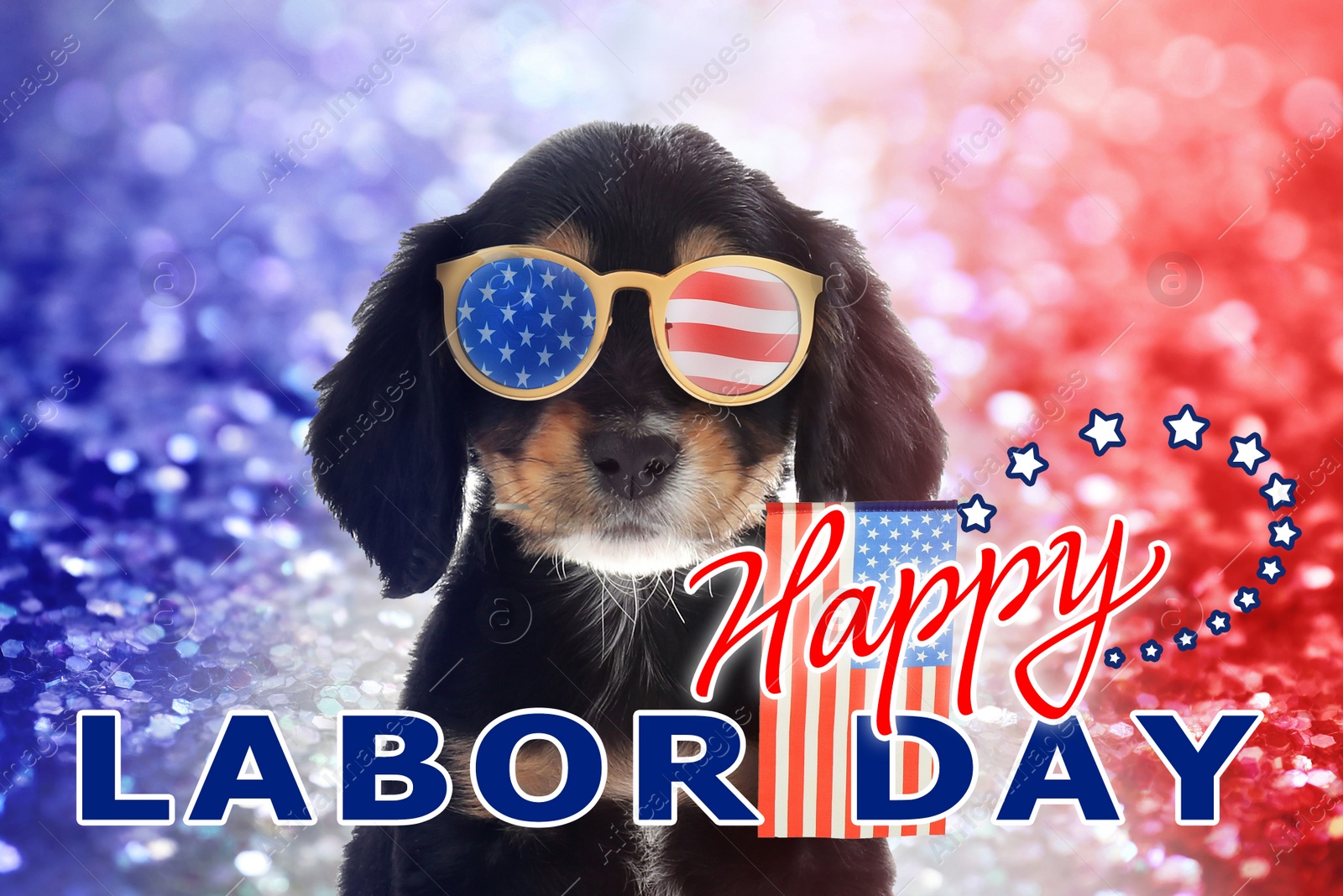 Image of Happy Labor Day. Cute dog with sunglasses and American flag on shiny festive background