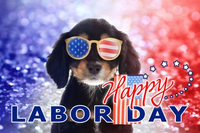 Image of Happy Labor Day. Cute dog with sunglasses and American flag on shiny festive background
