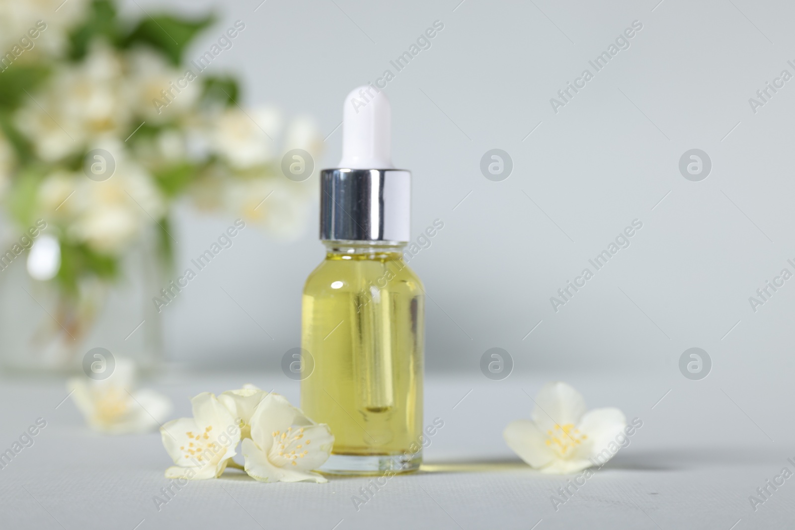 Photo of Essential oil in bottle and beautiful jasmine flowers on grey background, closeup