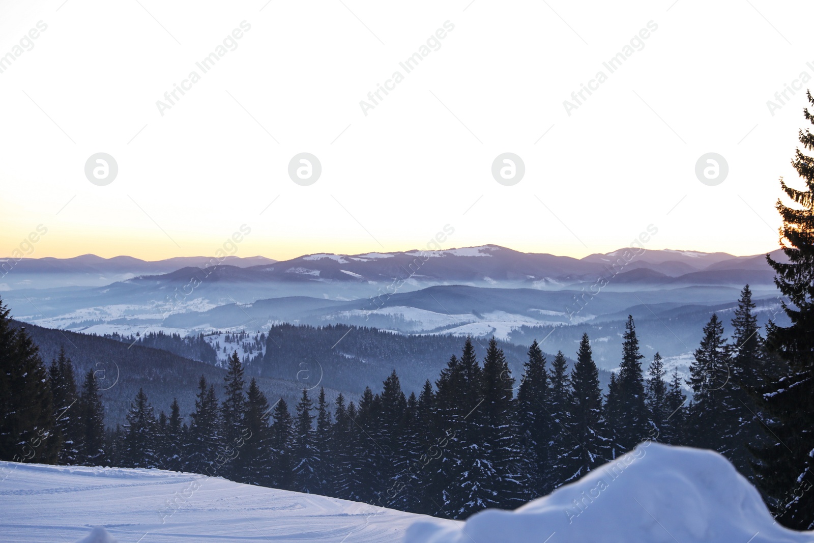 Photo of Beautiful mountain landscape with forest in winter