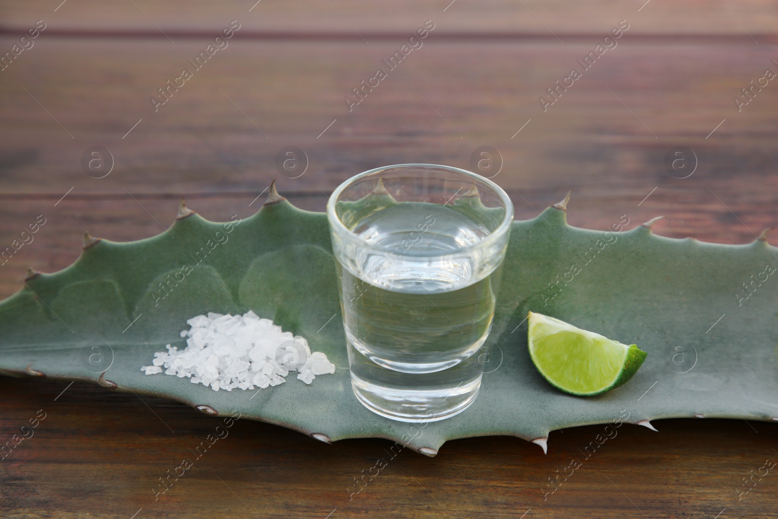 Photo of Mexican tequila shot, salt, lime slice and green leaf on wooden table. Drink made of agava