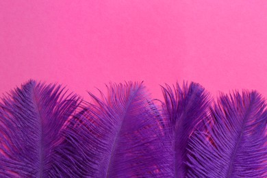 Photo of Beautiful violet feathers on pink background, flat lay. Space for text