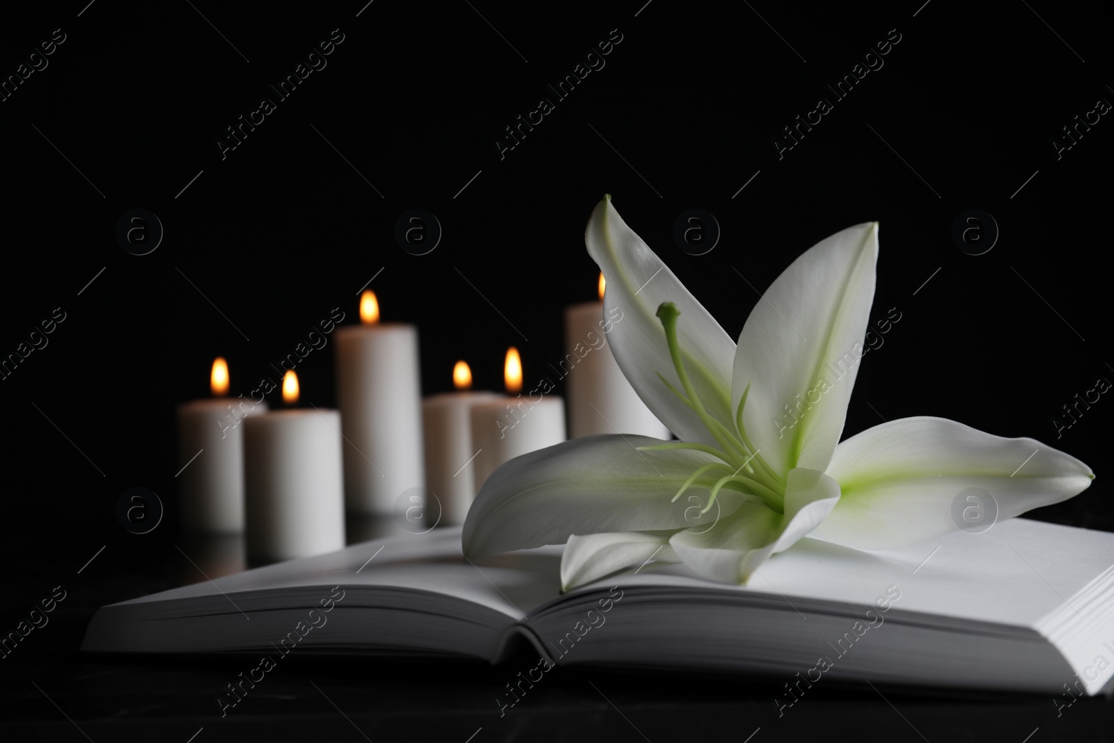 Photo of White lily, book and blurred burning candles on table in darkness, closeup with space for text. Funeral symbol