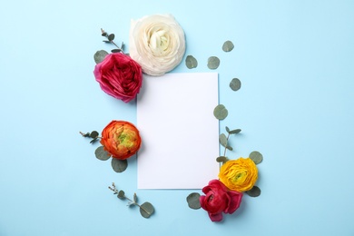 Photo of Flat lay composition with spring ranunculus flowers and card on color background. Space for text