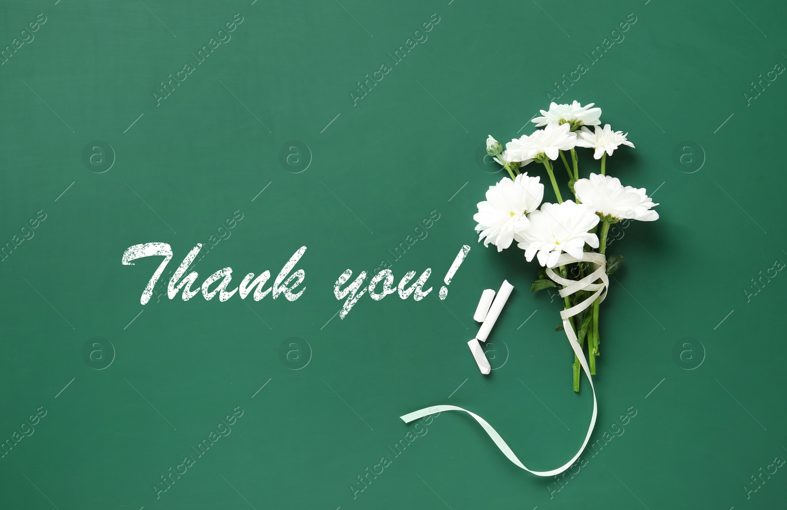 Image of Thank You Teacher! Beautiful flowers and pieces of chalk on green chalkboard, flat lay