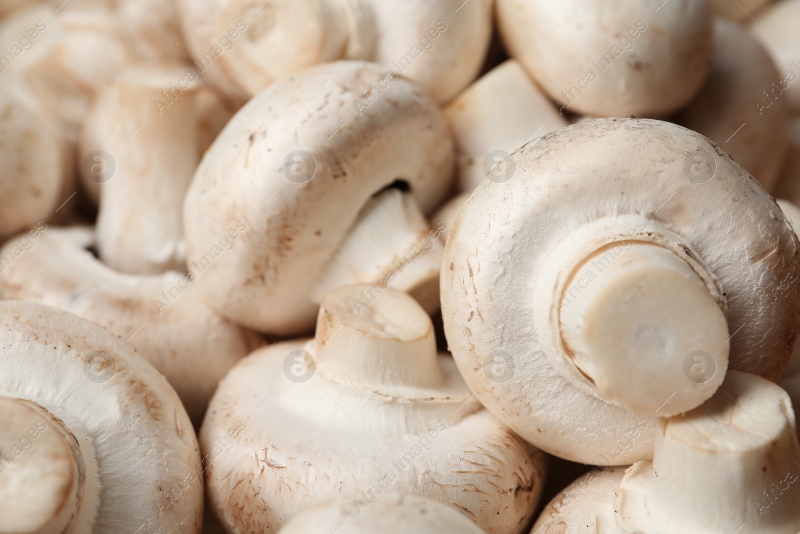 Photo of Fresh champignon mushrooms as background. Healthy food