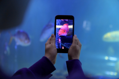 Woman taking photo of aquarium with fish, closeup