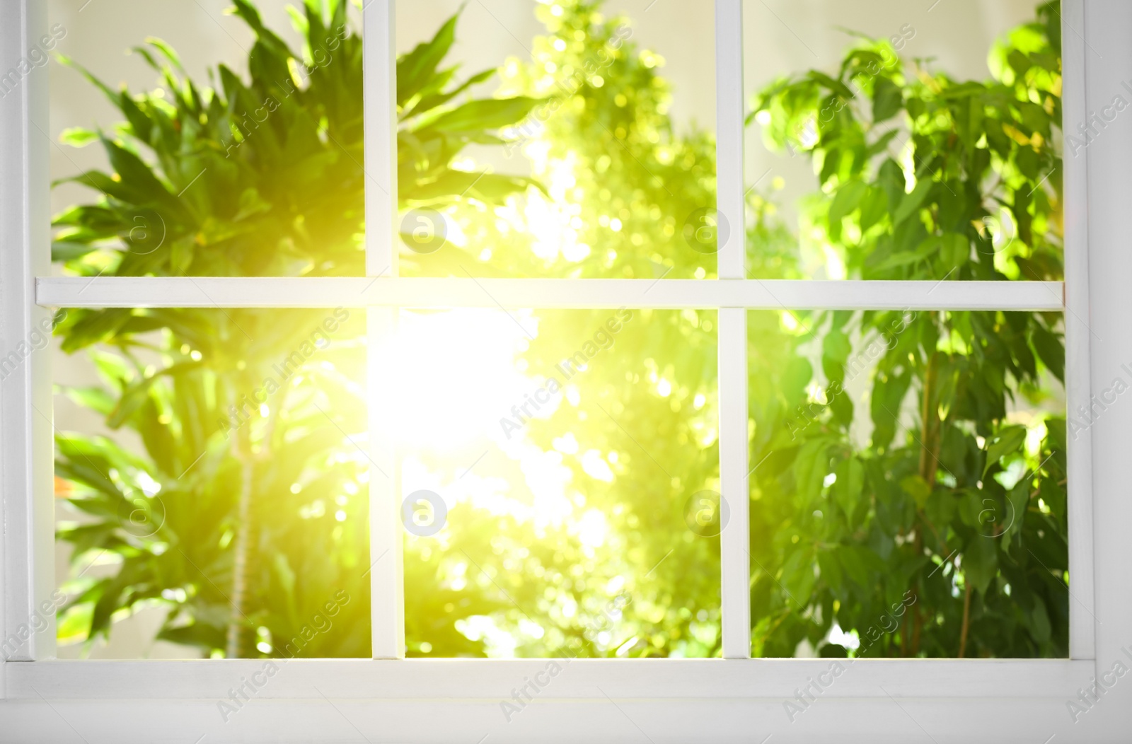 Photo of Beautiful view through window on garden in morning