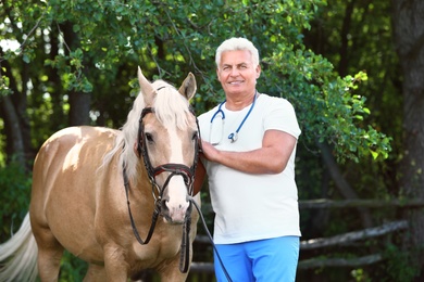 Photo of Senior veterinarian with palomino horse outdoors on sunny day