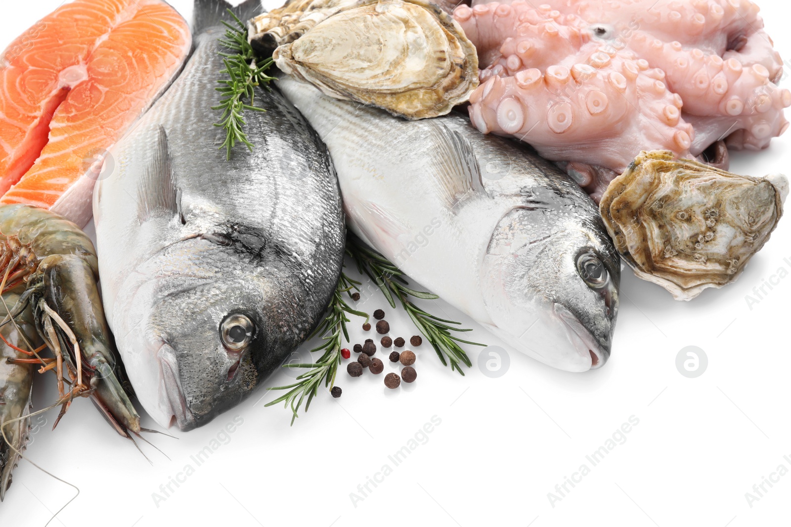 Photo of Fresh dorado fish, octopus, shrimps, oysters and salmon on white background, closeup