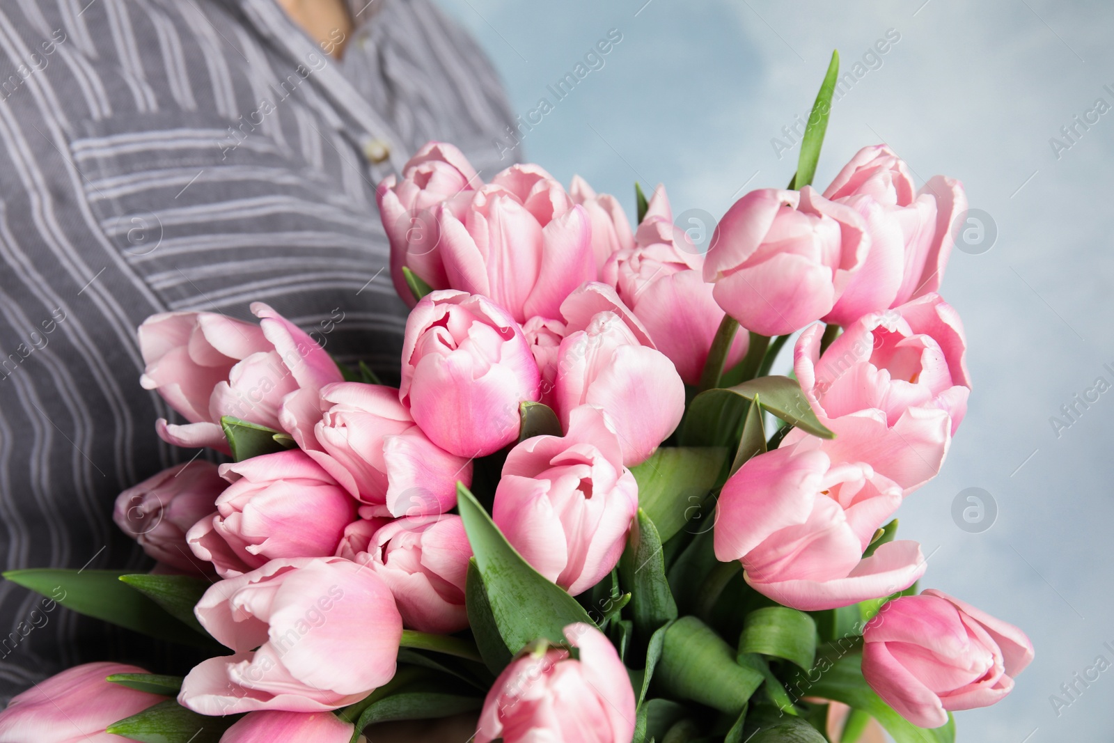 Photo of Woman with beautiful pink spring tulips on light blue background, closeup