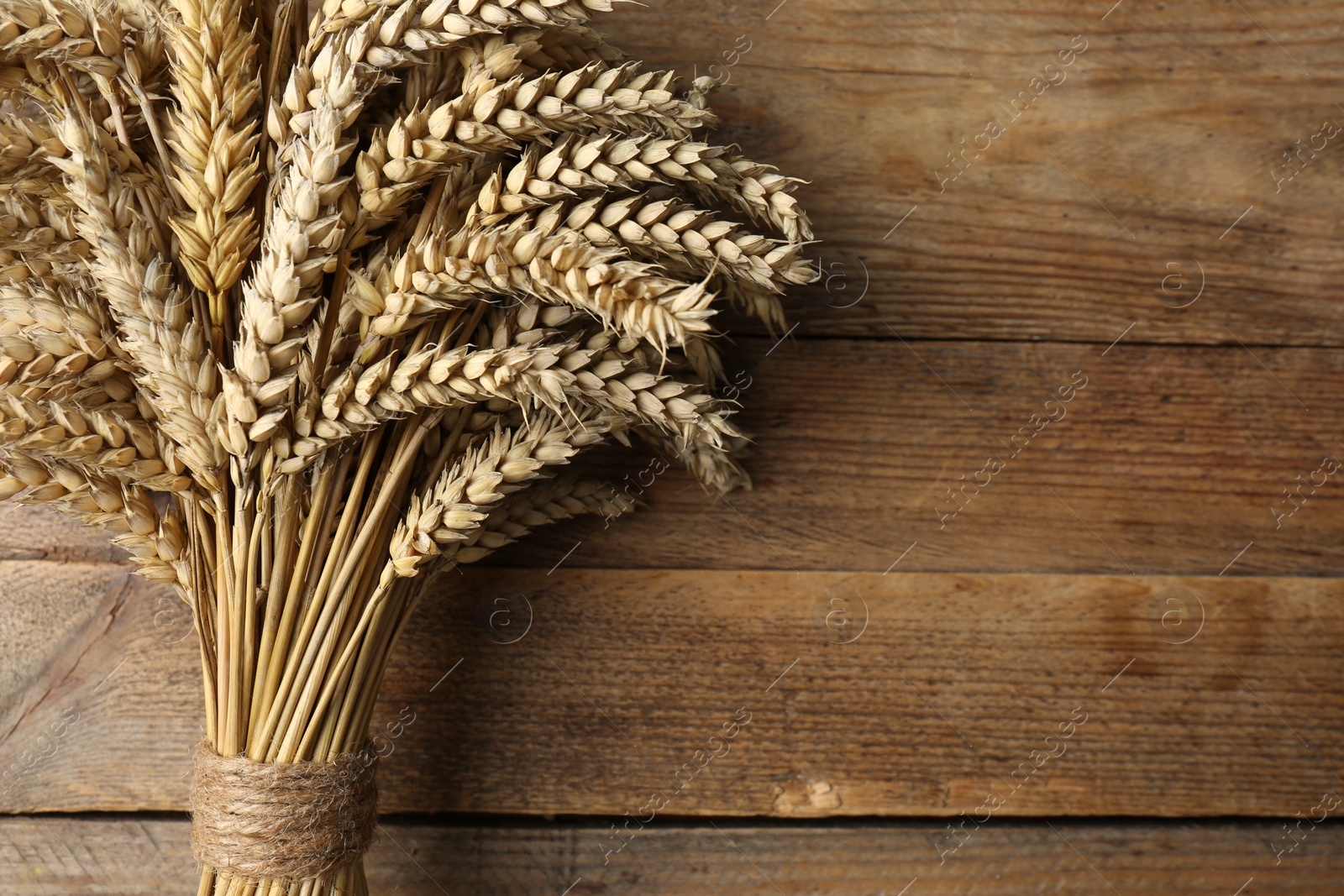 Photo of Bunch of dried wheat on wooden table, top view. Space for text