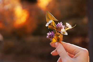 Photo of Woman holding wild flowers in hand on blurred sunny background