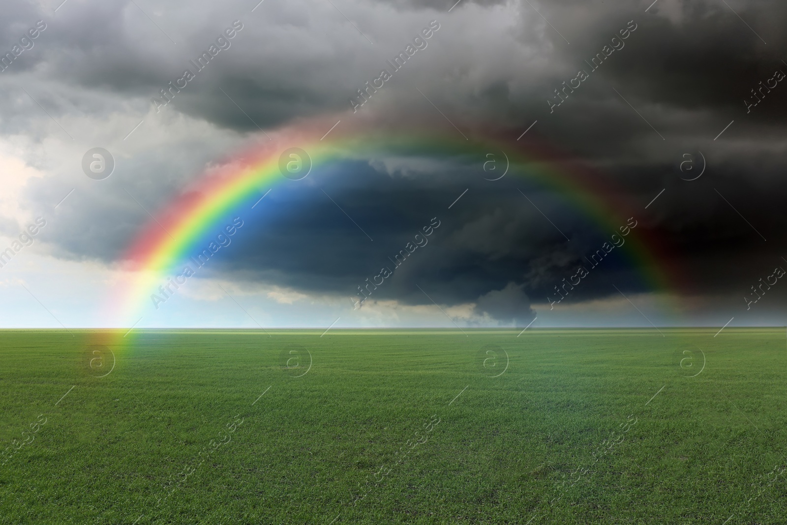 Image of Amazing rainbow over green field under stormy sky