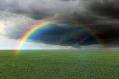 Image of Amazing rainbow over green field under stormy sky