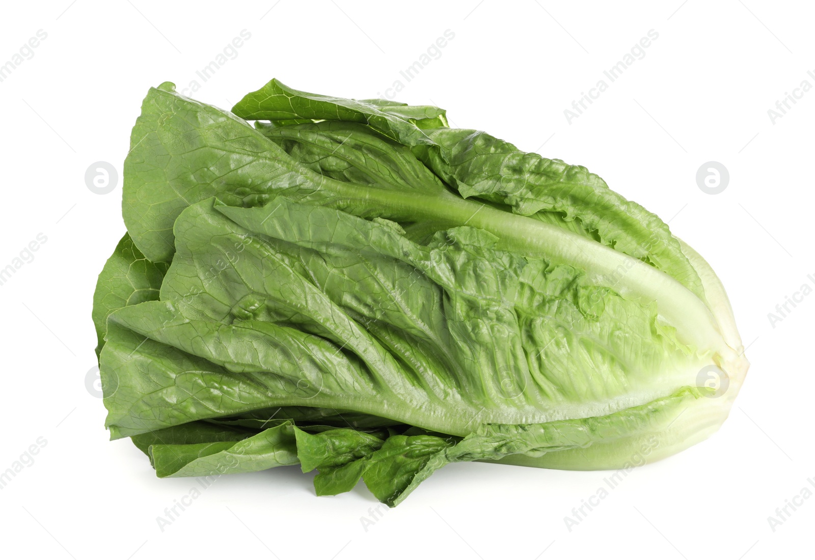 Photo of Fresh green romaine lettuce isolated on white