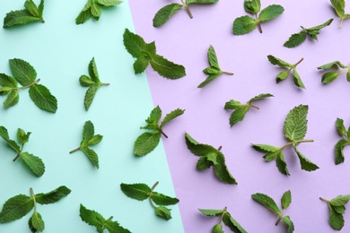 Photo of Fresh mint leaves on color background, flat lay