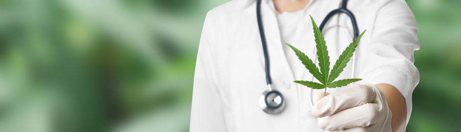 Scientist with hemp leaf on green background, closeup. Banner design