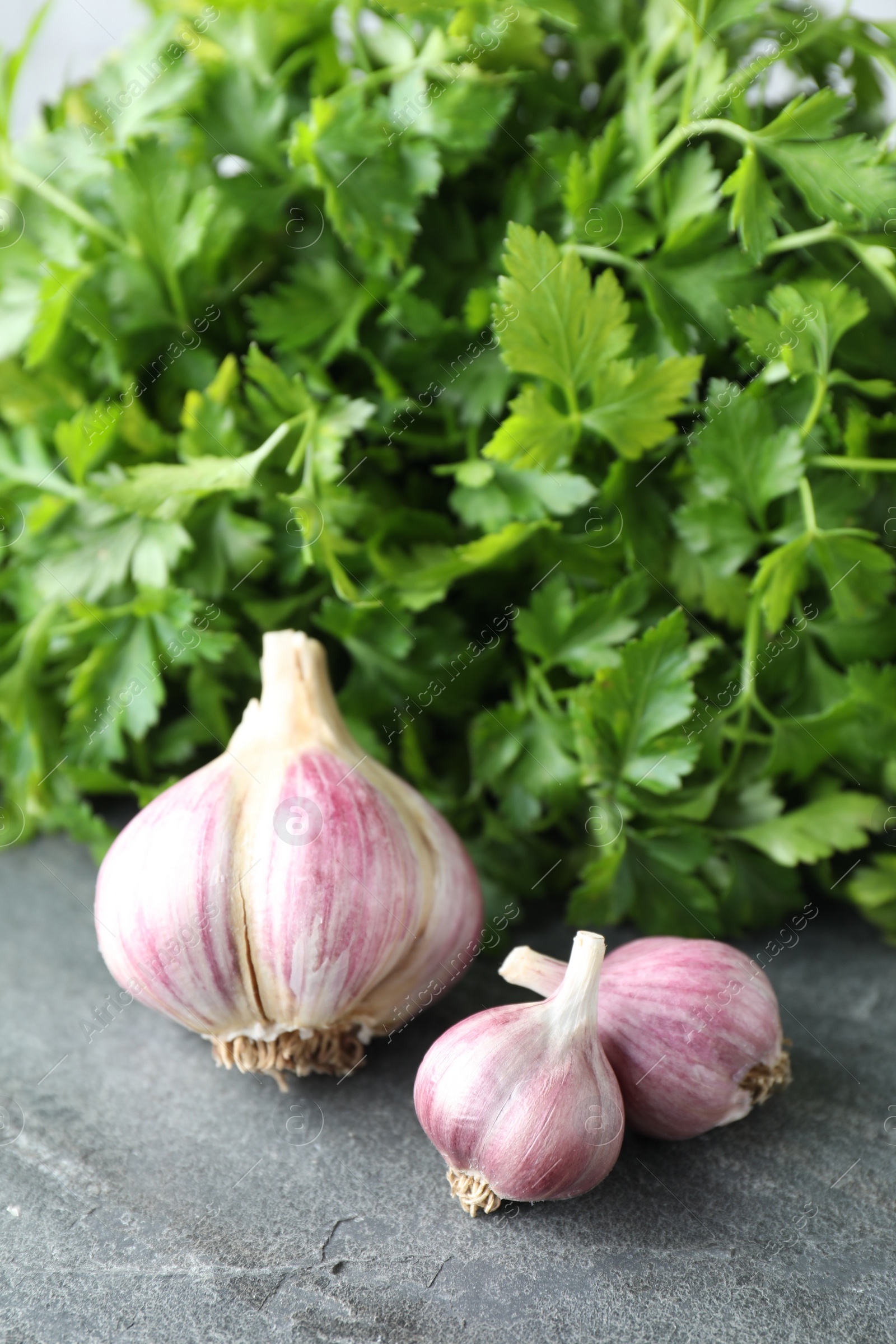 Photo of Fresh raw garlic and parsley on grey table, closeup