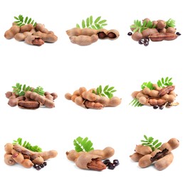 Image of Set with delicious ripe tamarinds on white background. Exotic fruit