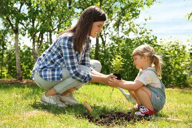 Mother and her daughter planting tree together in garden