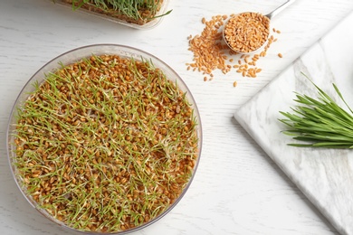 Flat lay composition with growing wheat grass on table