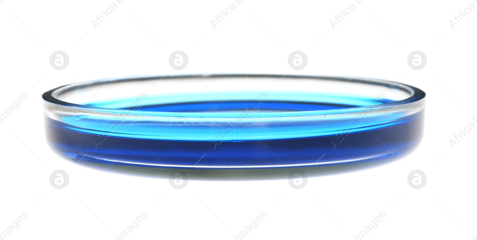 Photo of Petri dish with blue liquid sample isolated on white