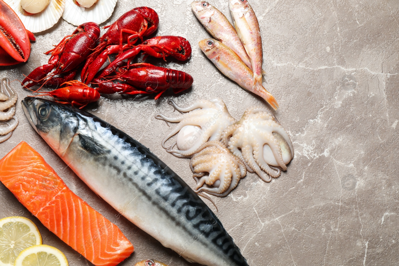 Photo of Fresh fish and seafood on marble table, flat lay