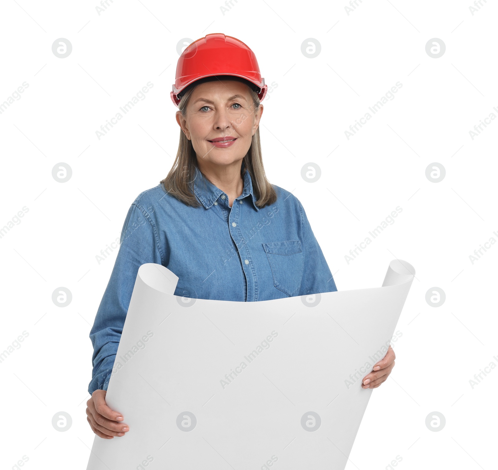 Photo of Architect in hard hat with draft on white background