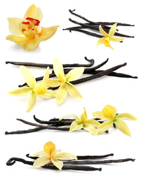 Image of Set with aromatic vanilla pods and flowers on white background