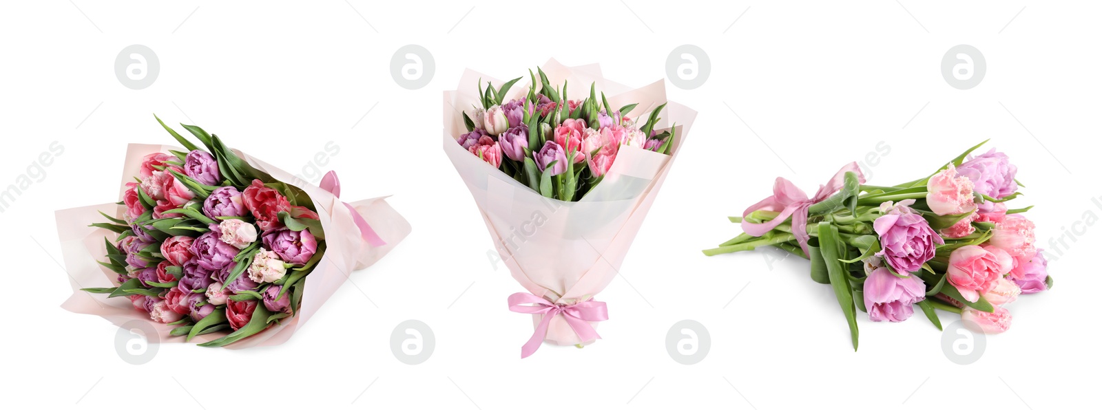 Image of Beautiful bouquets of tulip flowers isolated on white, set