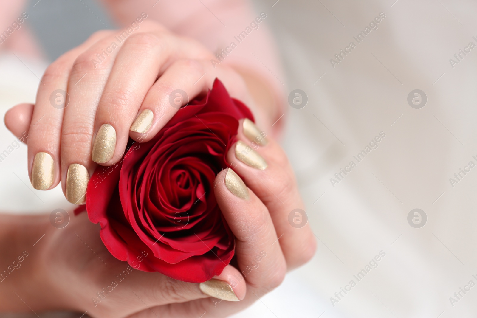 Photo of Woman with gold manicure holding rose on blurred background, closeup. Nail polish trends